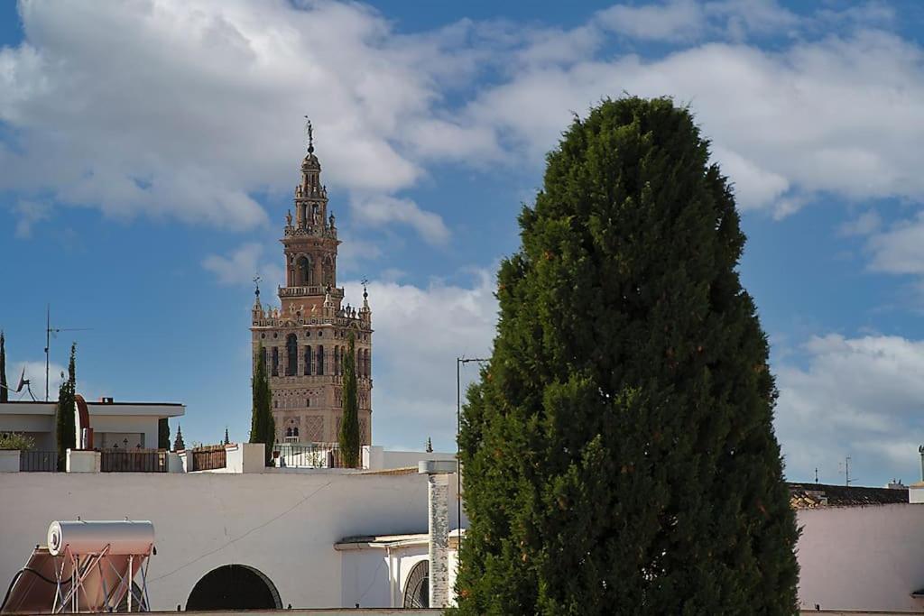 Increible Atico Con Vistas A La Giralda Appartement *